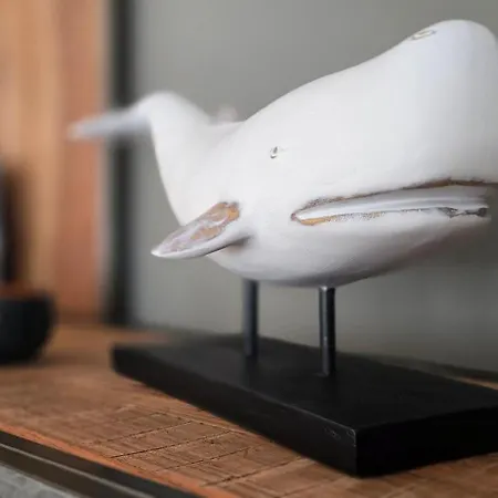 P5 格拉尔-米里茨